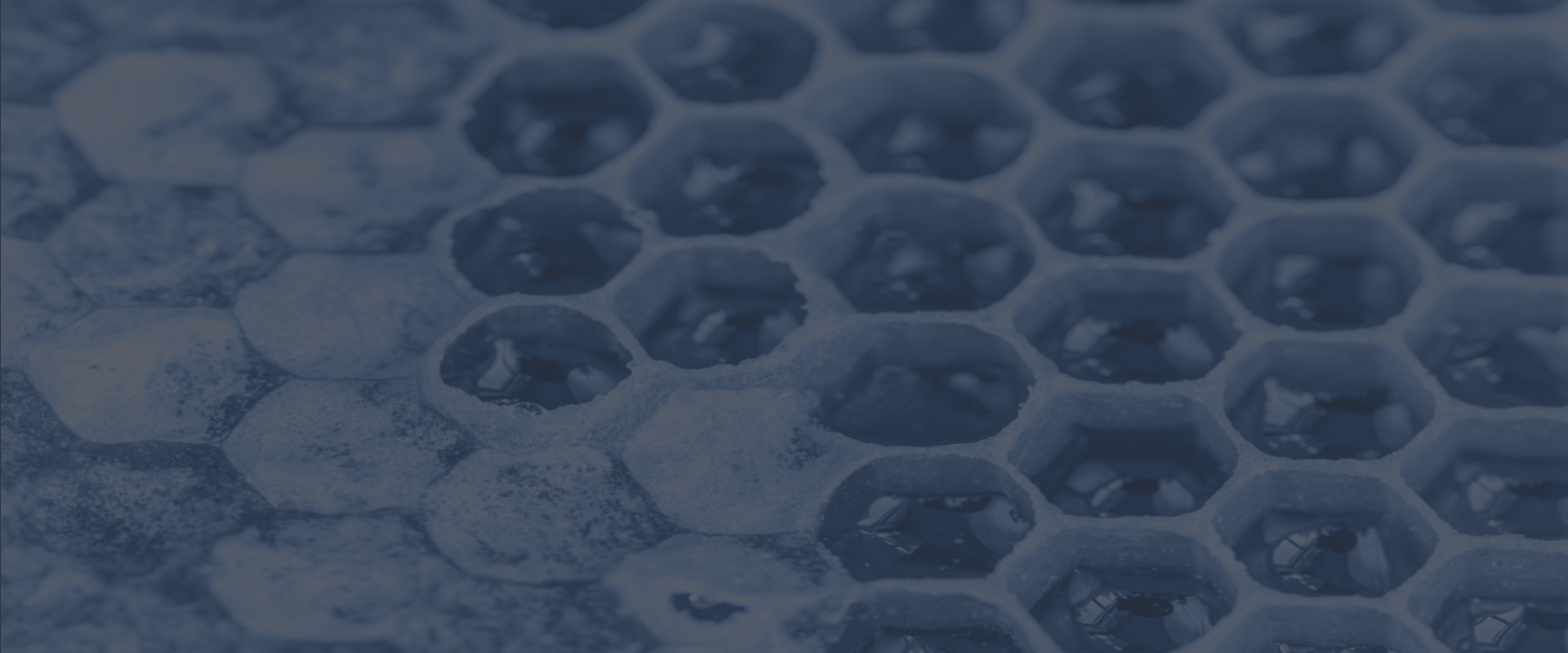 moisture control solution